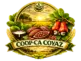 logo trspt 3products coop coyaz